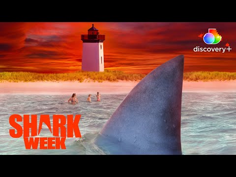 Fatal Great White Shark Attack in Cape Cod! | Great White Intersection | discovery+