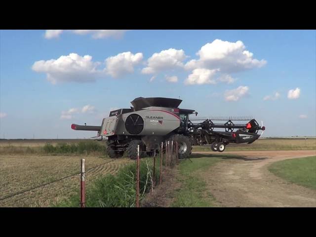 Wheat Harvest near Megargel Texas with Kulhanek Harvesting - June 2016