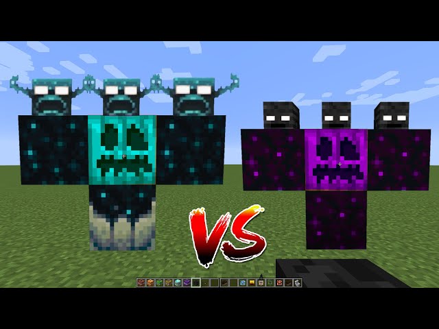 what if you create a WITHER GOLEM vs WARDEN TITAN in MINECRAFT