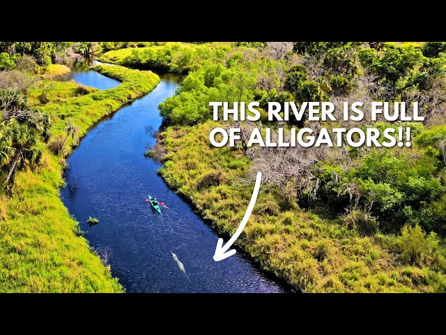 Spring kayaking on Florida's Myakka River - Lightweight Pakayak test!