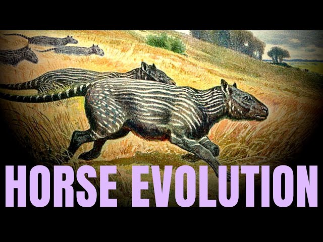 The Evolution of the Horse ~ with PROFESSOR JOHN HUTCHINSON