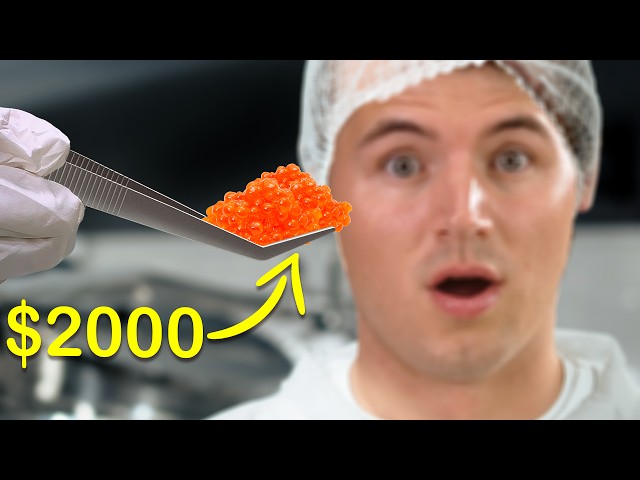 How Caviar Is Made