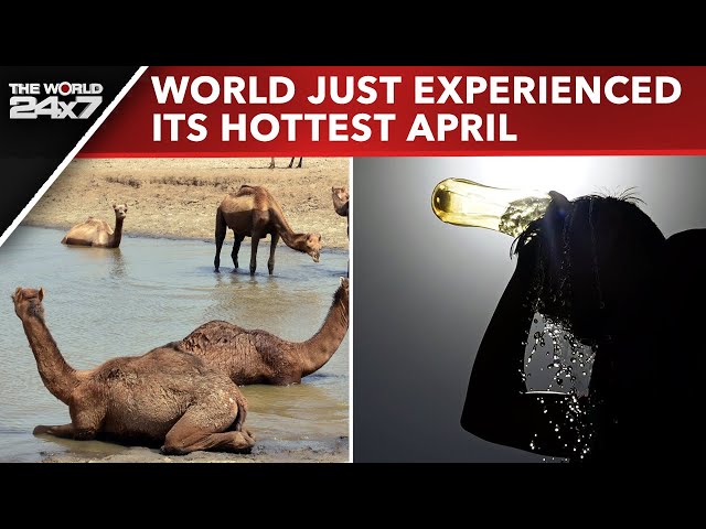 Heatwave News | What Climate Change Expert Said On April 2024 Being Hottest On Record