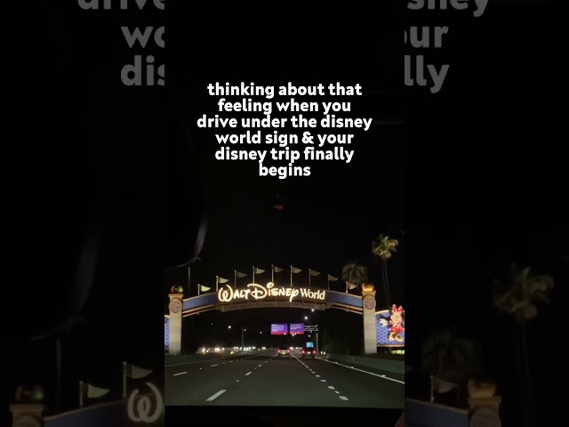 Driving Under the Sign #waltdisneyworld