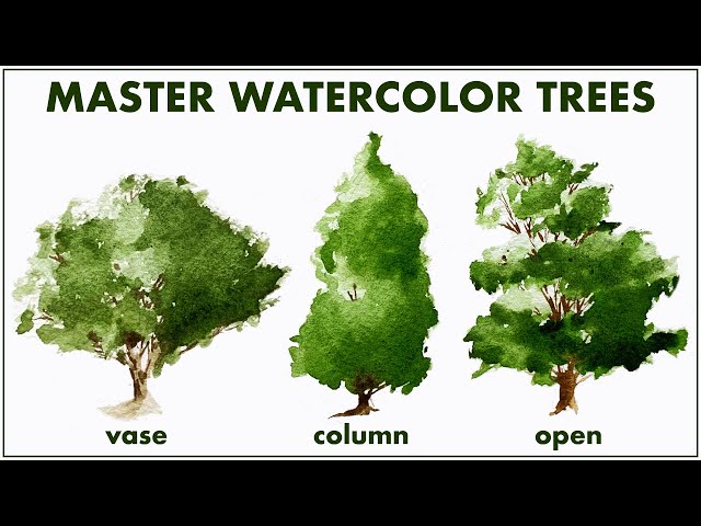 How to Master Watercolor Trees | Vase, Column, Open Shape Trees