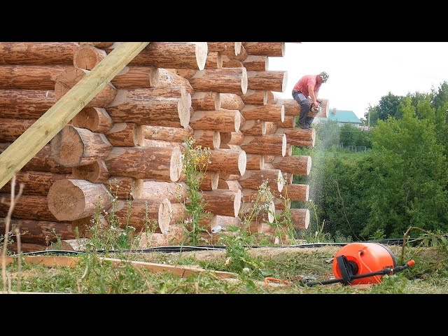 We built a house out of large logs. Step by step construction process