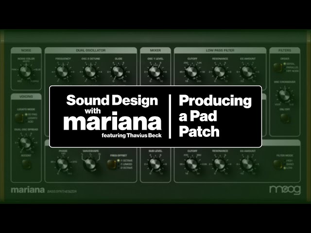 Sound Design with Mariana | Synth Pad | Thavius Beck