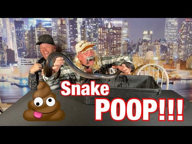 Snake Poops In 'Joe Exotic's' Mouth! Halloween Costume Show!