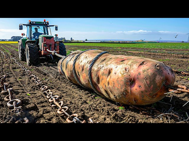 Advanced Farming Machines: Harvesting Potatoes Like a Pro!