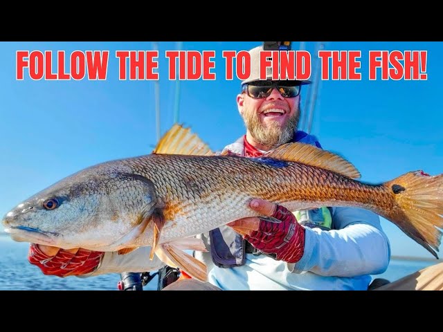 Finding Fish In Warm Water After Crazy Low Tide Swing