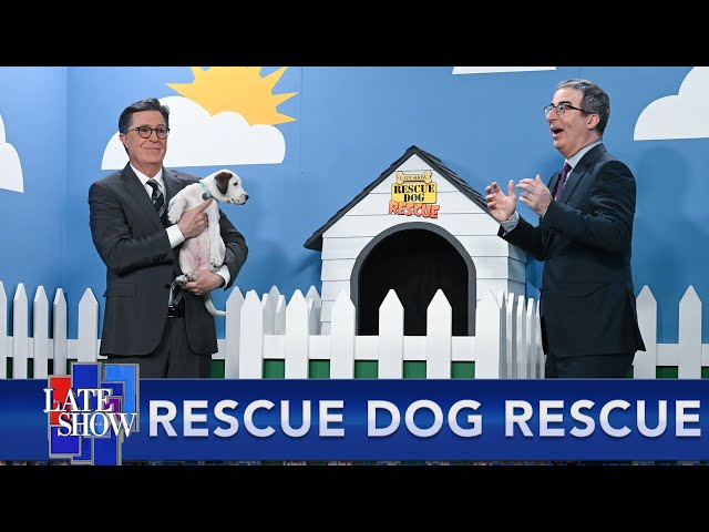 Rescue Dog Rescue with John Oliver