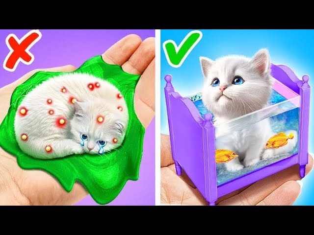 I Saved Stray Kitten And Build New secret House *Super Gadgets And Hacks For Pets*