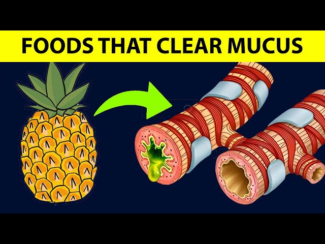 Top 8 Foods That Cleanse MUCUS