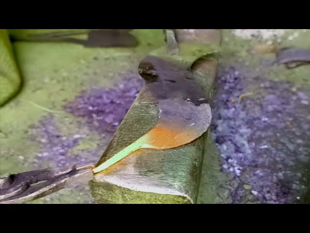 blacksmithing~ how to make a round model hasua knife | forging knife