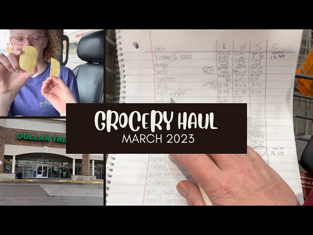 Grocery Haul For A Family of Four | Shop With Me | #P31Challenge