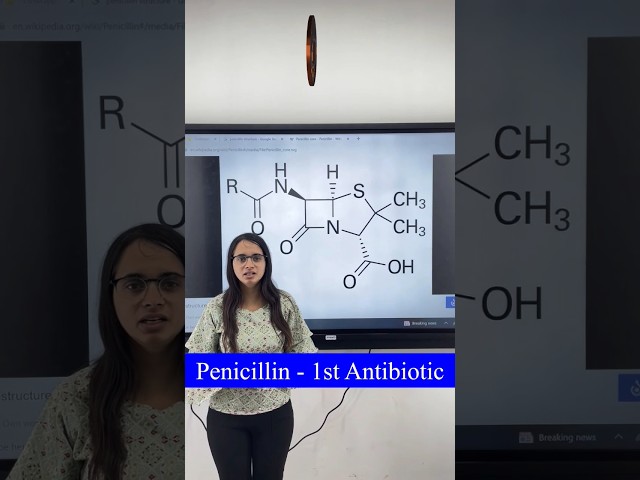 Penicillin - 1st Antibiotic            For more details contact on 7814622609 or 8360044357