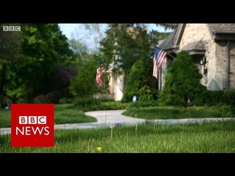 Inside the mind of white America - BBC News