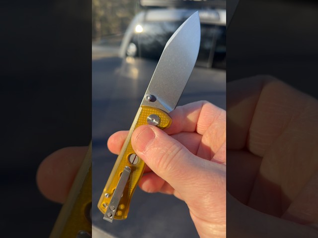 QSP Canary Folding Pocket Knife #edc #everydaycarry #edcknife #QSPKnives #knife #knives #knifelife