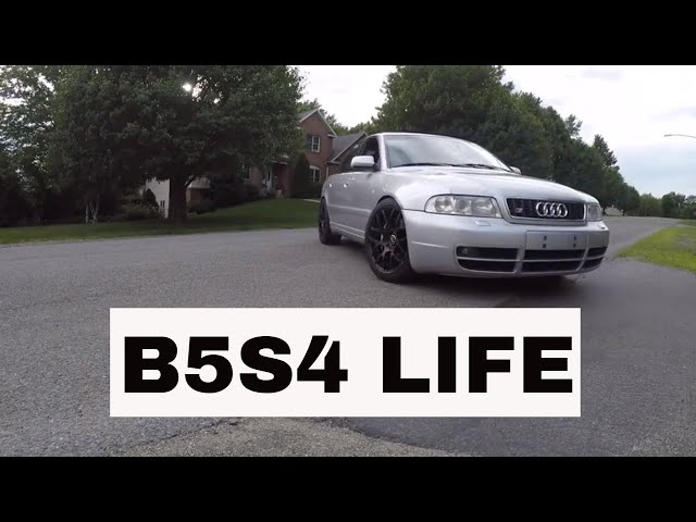 My B5S4 has been incredibly... reliable?? - Quick 2k Subscriber Update!