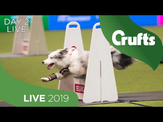 Day 2 LIVE | Crufts 2019