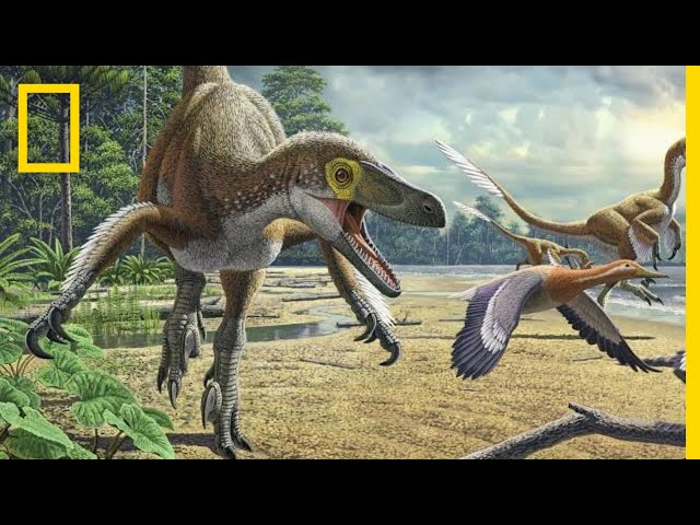 Dinosaurs 101 | National Geographic