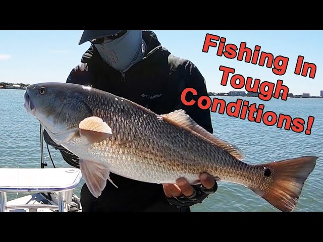 How To Catch An Inshore Slam (When Conditions Are Tough)