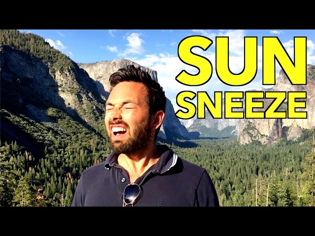 The Sun Sneeze Gene