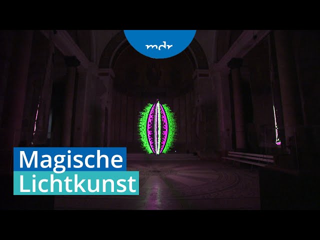 Lichtkünstler verzaubert Besucher im Tierpark Dessau | MDR SACHSEN-ANHALT HEUTE | MDR