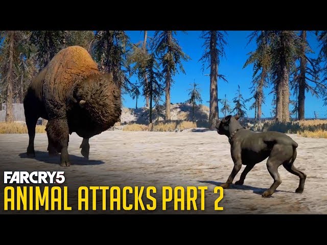 All Animal Attacks on Dogs (Animal Attacks Part 2) Animals VS Dogs - FAR CRY 5