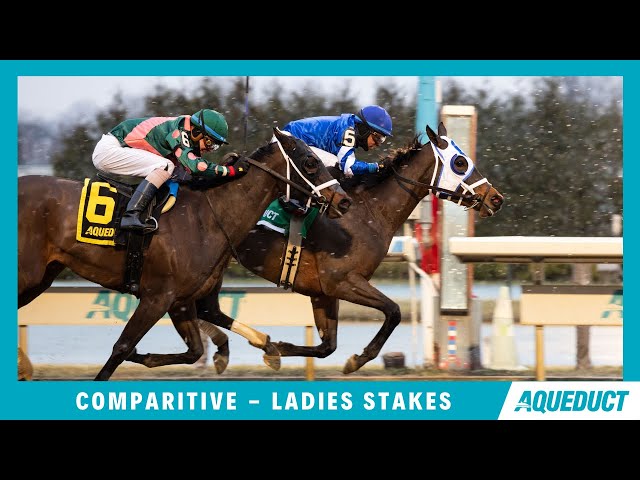 Comparative - 2024 - The Ladies