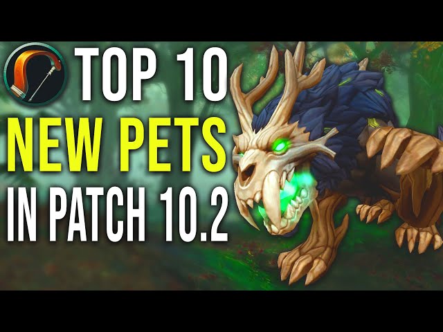 Top 10 New Hunter Pets Added in 10.2 Guardians of the Dream WoW