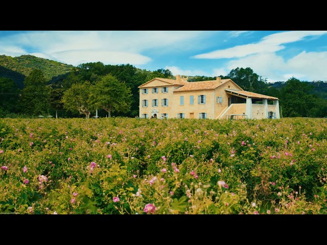 [10 Hours] Rose Petal Farm in Southern France - Video & Soundscape [1080HD] SlowTV