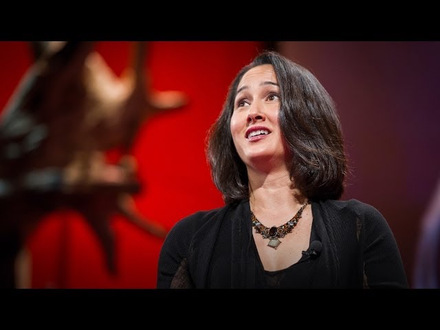 The Rise of Personal Robots | Cynthia Breazeal | TED Talks