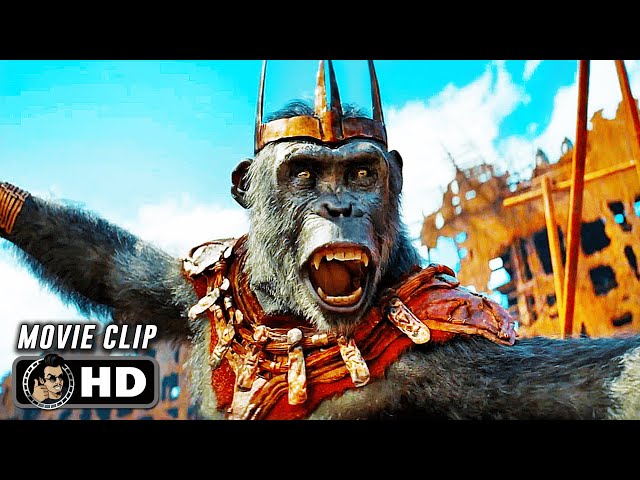 Evil Ape King Speech Scene | KINGDOM OF THE PLANET OF THE APES (2024) Sci-Fi, Movie CLIP HD