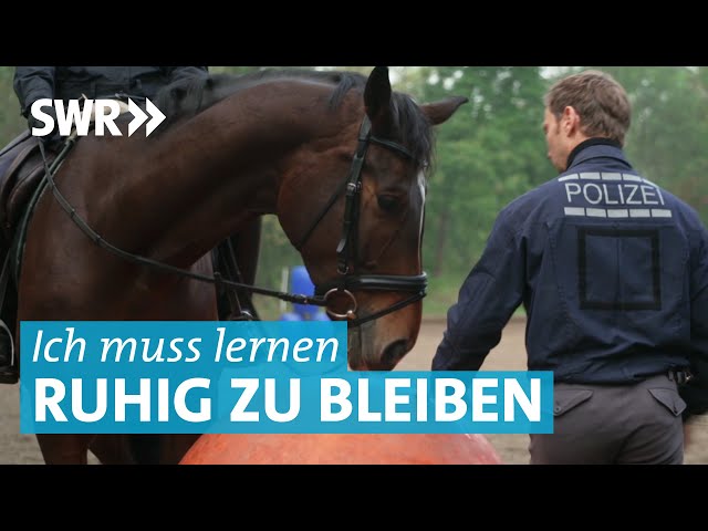 Feuer, Schusswaffen und Demonstrationen: Pferdetraining bei Reiterstaffel der Polizei Stuttgart