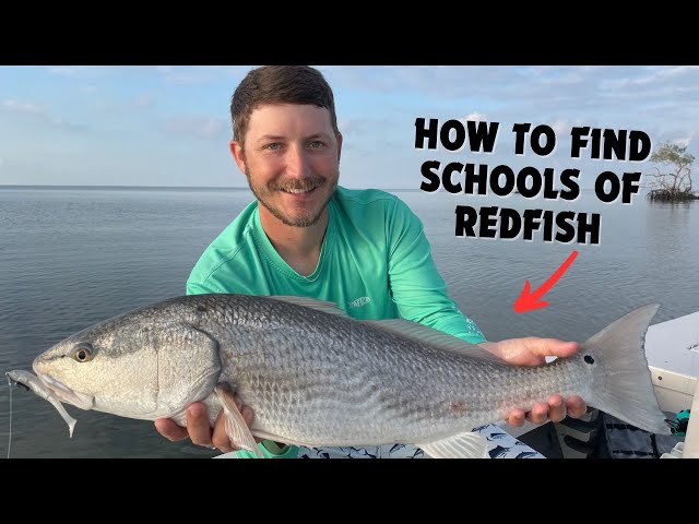 How To Find Big Schools Of Redfish In The Spring