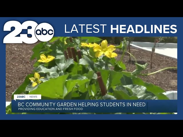 Community Garden Helping Students + Weather | LATEST HEADLINES