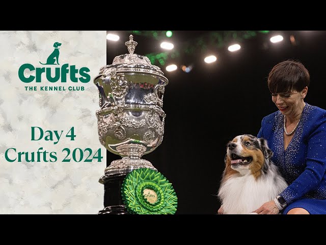 Day 4 of Crufts 2024