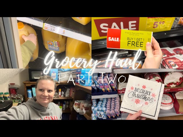 Grocery Haul Part Two | Shop With Me | New Food Storage Organization