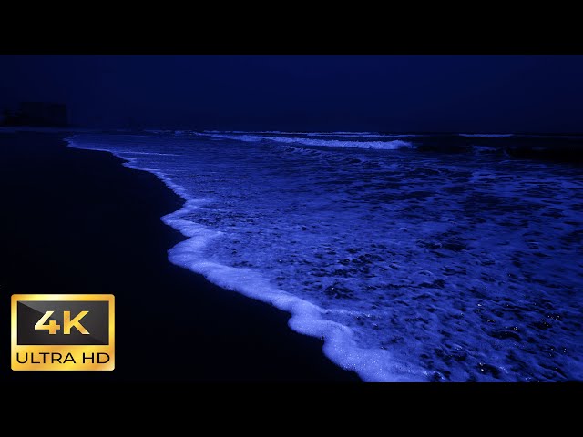 Soothing Ocean Waves for Insomnia Therapy and Relaxation | Ocean Sounds For Deep Sleep 4K [8 HOUR]