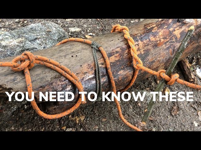 8 Essential Camp Knots and Hitches That You Need to Know