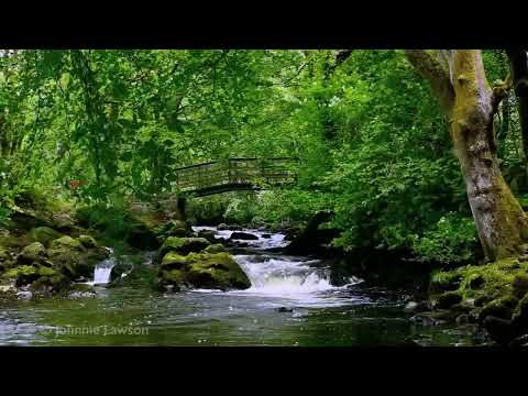 Forest Waterfall Nature Sounds - Rocky Mountain River - 8 Hour Birdsong Version-Sleeping Series Ep.5
