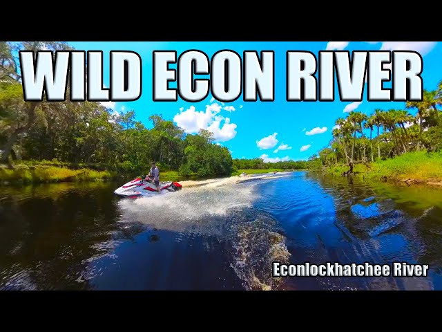 Best Rivers in Florida to see Old Florida - Econlockhatchee (ECON) River on Jet Skis -  Jolly Gators