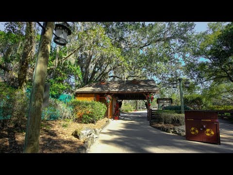 Disney's Abandoned River Country 2018