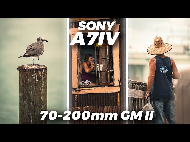Sony A7IV Photography POV | Sony 70-200 mm GM II