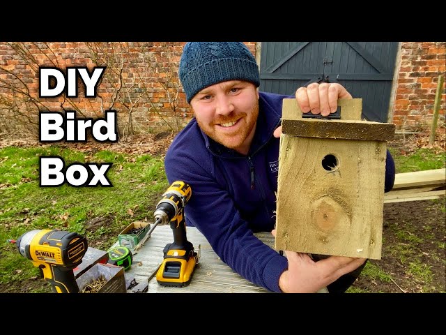 How To Make A Bird Box - Blue & Great Tit
