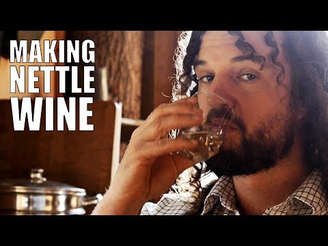Making Nettle Wine
