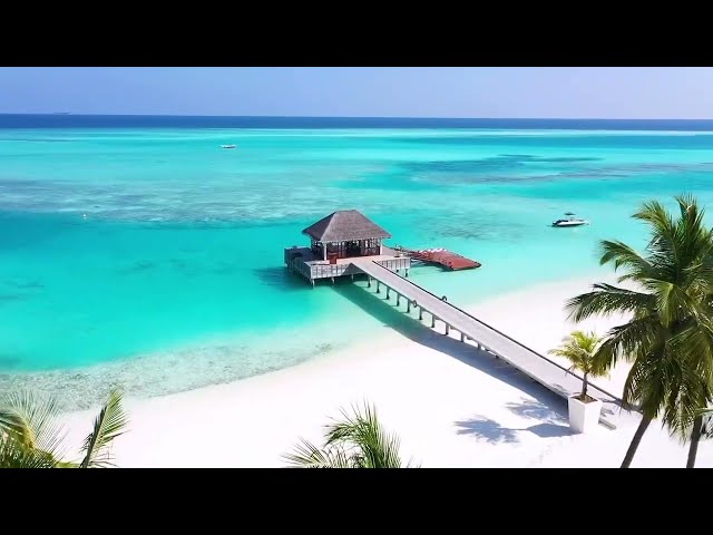 Chill. Play. Come Alive at Niyama Private Islands Maldives
