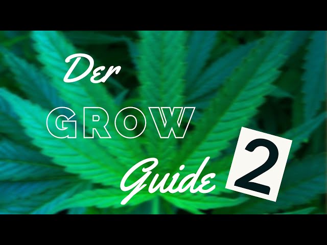 Indoor Growing Guide [02] - Anfänger Growbox