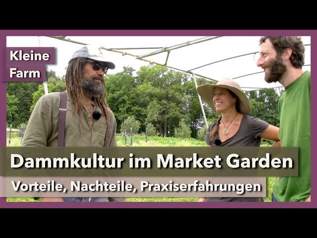 Dammkultur im Market Garden | Kleine Farm | Rundgang 1 | 2022